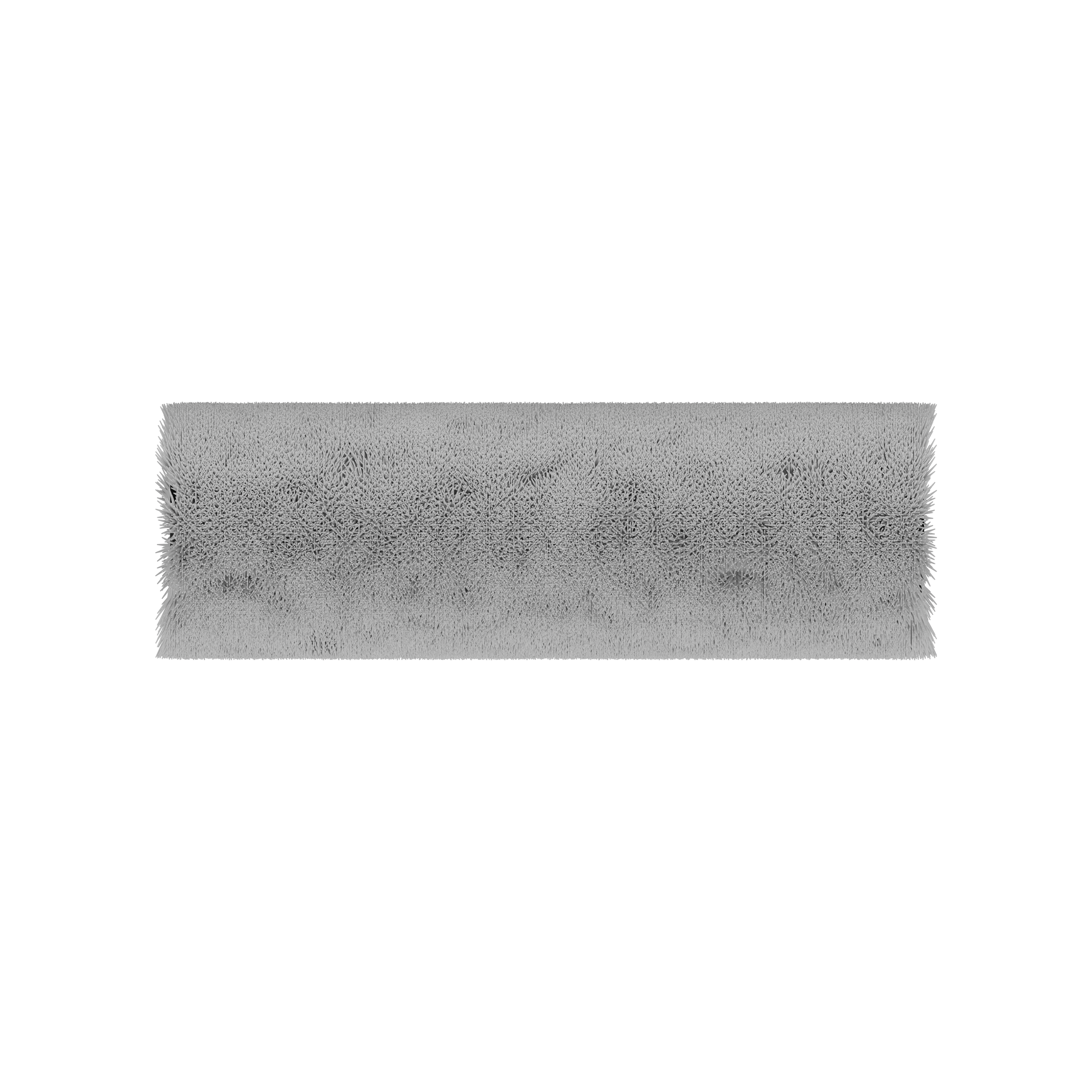 REN PRO | Wet Mop Roller