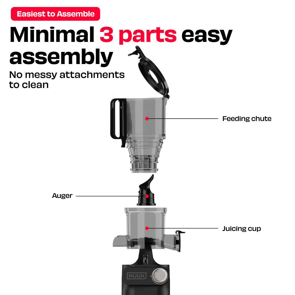 #color_elderberry black